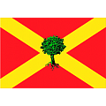 Imagen bandera de: Villoviado