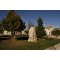 Imagen de: Olmos de Atapuerca 5