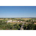 Imagen de: Roa de Duero 16